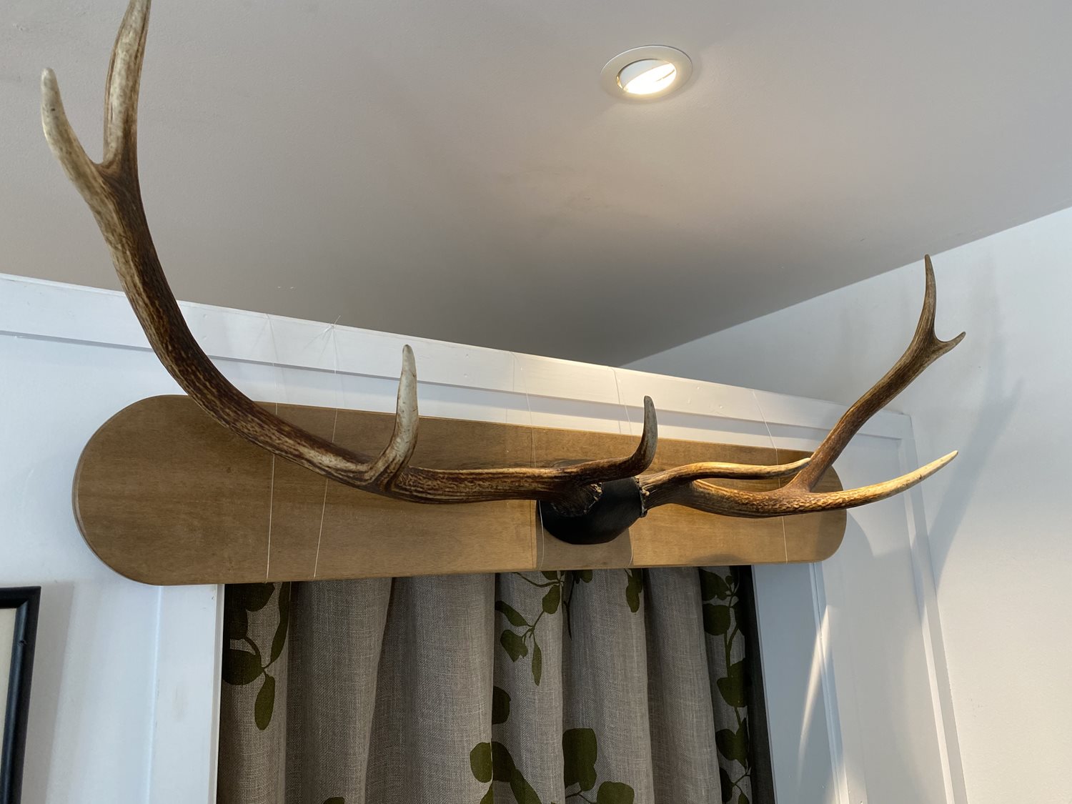 Deer antler coat hooks sale